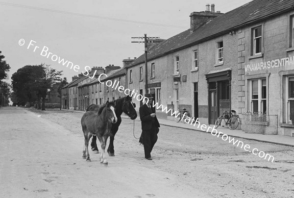 FAIR SCENE  HORSES